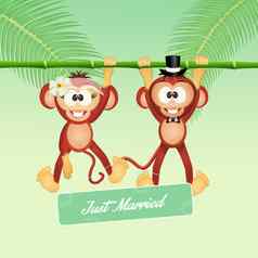 婚礼猴子