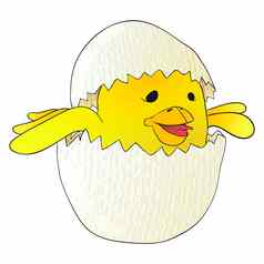 卡通黄色的新生儿鸡破碎的蛋壳牌