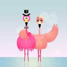 粉红色的火烈鸟配偶