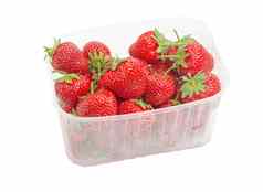 花园草莓塑料容器