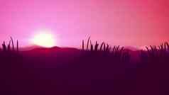 摘要粉红色的紫罗兰色的日落