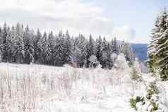 冬天景观巴伐利亚