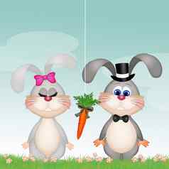 小兔子胡萝卜