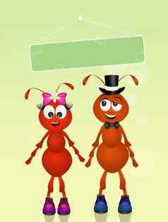 蚂蚁爱