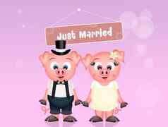 婚礼猪
