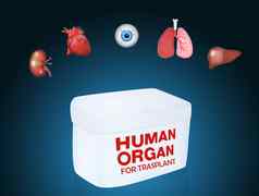 人类器官trasplant