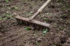 土壤谎言花园耙特写镜头概念园艺