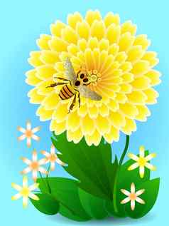 蜜蜂黄色的花收集蜂蜜花粉