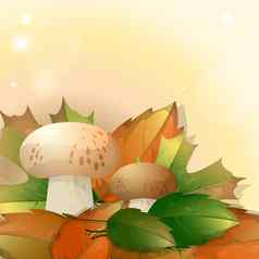 蘑菇秋天叶子光背景的地方文本