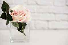 粉红色的玫瑰模拟风格股票摄影花风格墙模拟玫瑰花模型情人节母亲一天卡giftcard白色桌子上模型