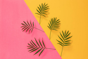 棕榈叶子充满活力的粉红色的黄色的背景