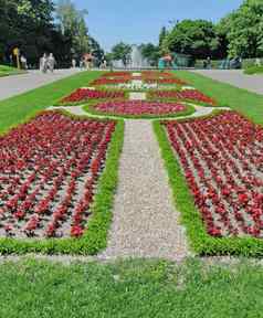 阿拉伯式花纹花床上红色的秋海棠绿色草广场喷泉