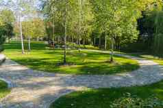 休息公园板凳上影子低年轻的桦树gro