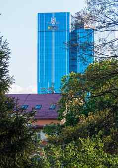 城市摩天大楼墙玻璃蓝色的颜色可见树叶树日益增长的附近的