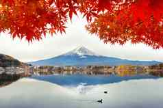 秋天季节富士山河口湖湖日本