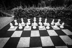 白色块大国际象棋游戏