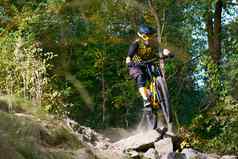 专业骑自行车的人骑山自行车秋天森林小道极端的体育运动复古骑自行车概念