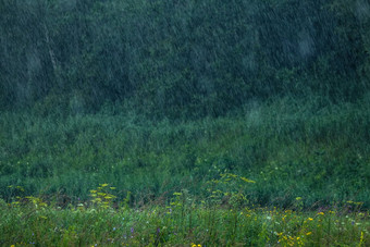夏天雨雨滴草地