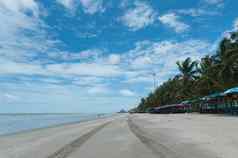 海海滩椰子棕榈树景观罗勇府省泰国