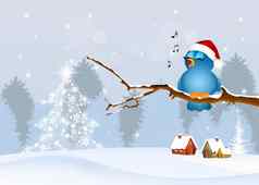 可爱的鸟分支圣诞节