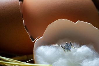 假的钻石环蛋壳牌破碎的卵巢早晨