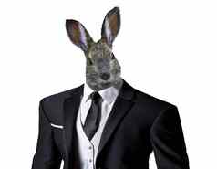有趣的复活节兔子穿业务西装孤立的白色背景复活节庆祝活动概念