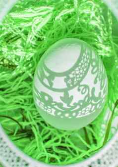 复活节美丽的复活节卡透空式椭圆形框架美丽的阴影秋天白色蛋绿色背景前视图