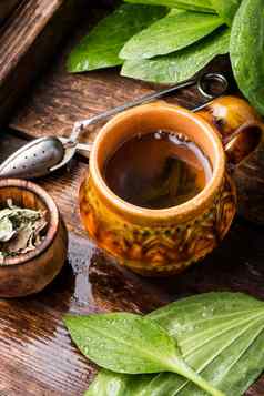 Herbal茶木背景