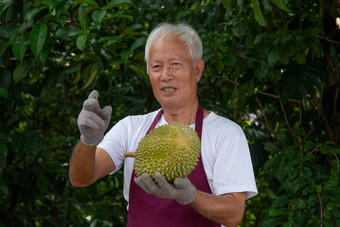 农民猫山王榴莲