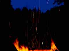 篝火火焰长火花背景晚上森林