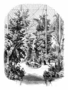 视图温室花园的植物园巴黎