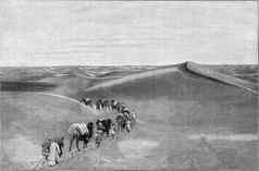 运输货物骆驼商队沙漠中央ASI