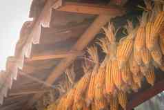 有机玉米干燥椽精品附属建筑物农村北越南