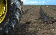 拖拉机轮胎幼苗行农业土地种植