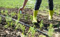 茴香种植园测量土壤内容数字设备