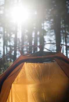 帐篷森林阳光