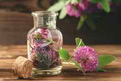 概念顺势疗法Herbal治疗粉红色的三叶草Pratense三叶草瓶