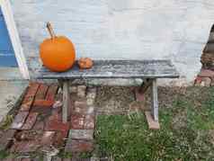 橙色南瓜木板凳上腐烂的南瓜