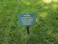 走草标志绿色草坪上