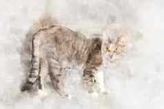 优雅的灰色的虎斑猫黄色的眼睛站相机格式化水彩画
