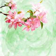 春天树开花水彩插图