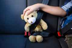 十几岁的男孩坐着泰迪熊回来座位车