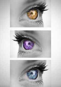 色彩斑斓的眼睛系列