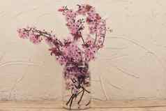 樱桃开花花瓶美丽的粉红色的花李属serrulata日本樱桃被称为山樱桃东方樱桃东亚洲樱桃花3月白色变形背景极简主义reductivism概念复制空间