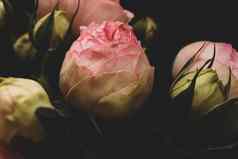 粉红色的玫瑰黑暗背景花束温柔的牡丹