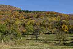 令人惊异的秋天视图快乐山森林落叶树漂亮的村日列比奇科布拉齐格的直辖市洛多佩山