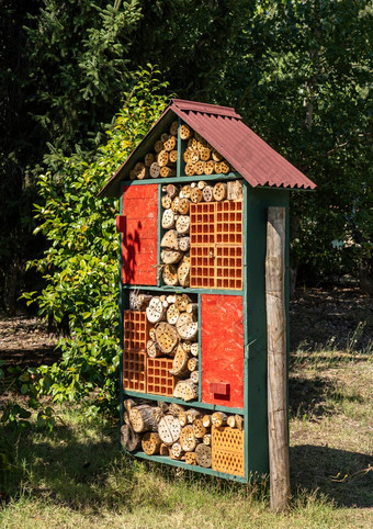 鸟昆虫酒店使树树干砖项目
