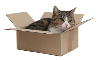 史努比猫删除盒子白色