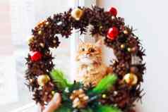 可爱的姜猫手工制作的圣诞节花环使