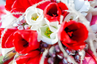 新娘花束阳光传统的花作文明亮的红色的郁金香